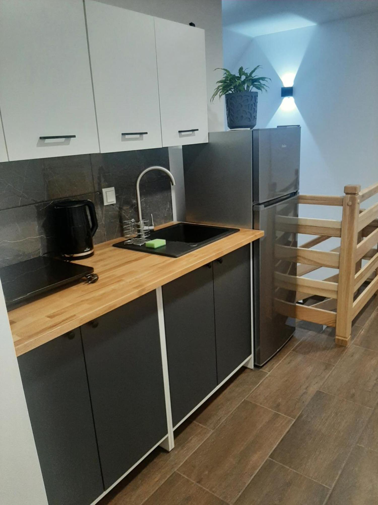 Stylove Apartamenty Kocierz Rychwaldzki エクステリア 写真